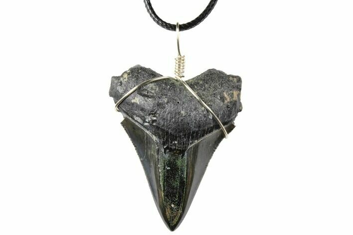 2.05" Fossil Megalodon Tooth Necklace - Serrated Blade